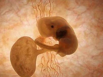 总结广西精子人授医院名单，哪种助孕技术好看就知道了