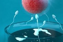 郴州桂阳县试管婴儿哪家好，郴州桂阳哪个医院做人流比较好