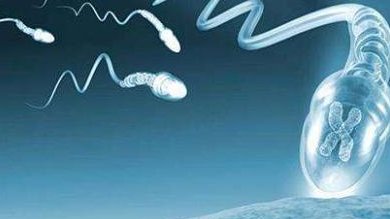 试管囊胚移植全流程，这两个重要步骤你得搞清楚