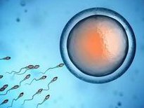 试管移植前为何要做宫腔镜检查？三大重要作用，不得不看