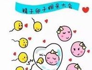 甘肃做试管婴儿胚胎移植手术多少钱一次？有哪些流程步骤？