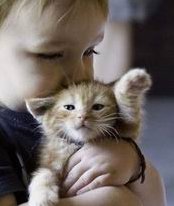 宜兴市试管婴儿医院哪家成功率高？宜兴市做试管婴儿费用多少钱？